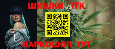 Альфа ПВП Сланцы