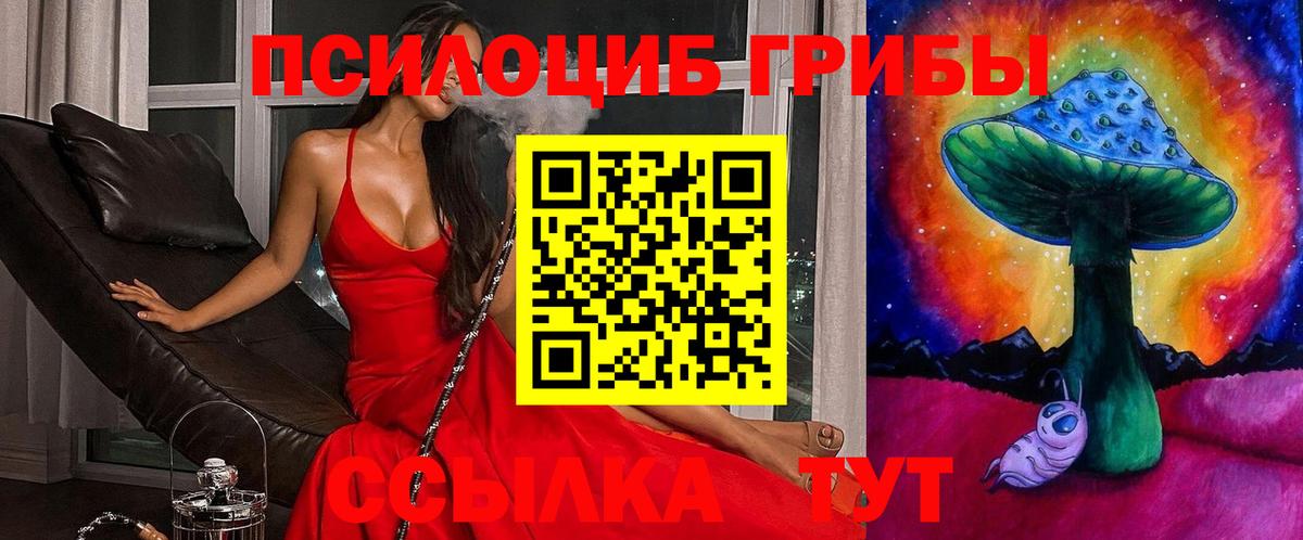 Псилоцибиновые грибы GOLDEN TEACHER  Галлюциногенные грибы прущие грибы  Новоалтайск  Вход с VPN 