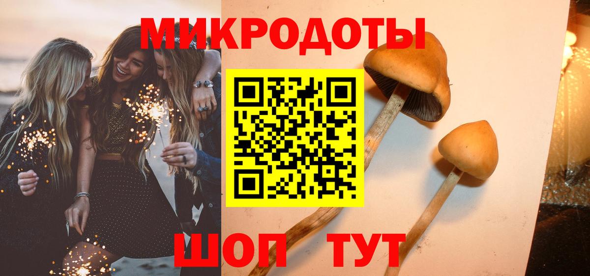 Галлюциногенные грибы мицелий Новоалтайск